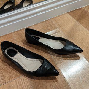 Dior Pointed Nose Flats